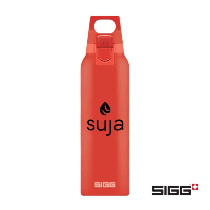 Custom SIGG™ Hot & Cold One Bottle - 17oz - 3