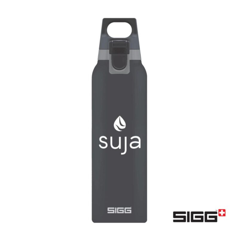 Custom SIGG™ Hot & Cold One Bottle - 17oz - 4